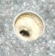 Hole drilled through formica with a paddle bit